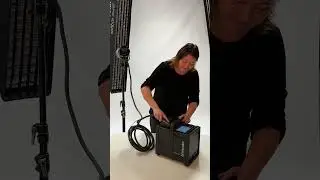 Let`s bring satos to life!
