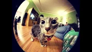 Универсальный объектив для смартфонов Клип Ленс (Clip Lens). Наравне с профессионалами.
