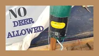 Keeping the Deer Out!