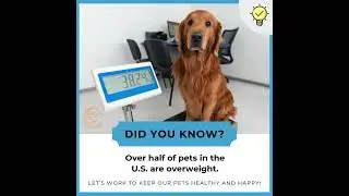 National Pet Obesity Awareness Day