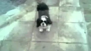 Лунная походка..