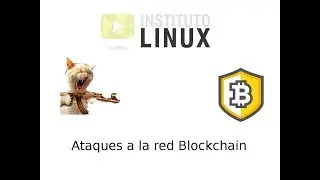 Replay attack y 51% attack