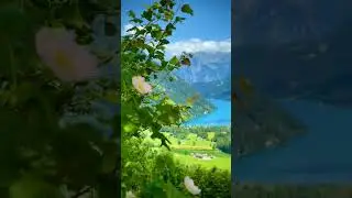 Beautiful😍 #shorts #4k #nature #naturesounds #музыкадлясна #релакс