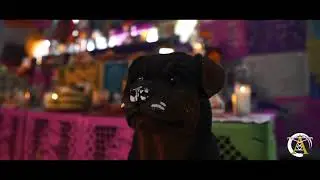 Altar de muertos Gotam - 2022
