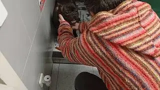 #vlogmas 140 Veterinario y biblioteca BCN