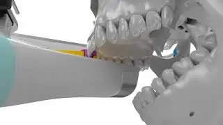 AXP 3D Animation - Workflow