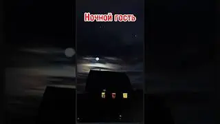 Ночной гость-Страшные истории