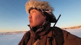 Мас көтөрүгэр хаамыы Саһылга чаархаан иитии