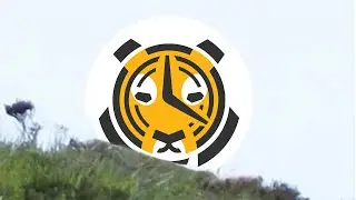 Trying Out TimescaleDB In Golang Pt. 1- Streamerverse