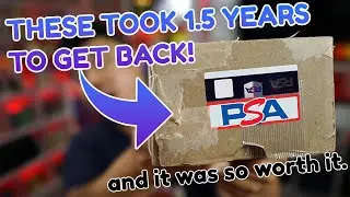 SO MANY PERFECT GRADES! | Pokémon PSA Return | Pokemon Card Game
