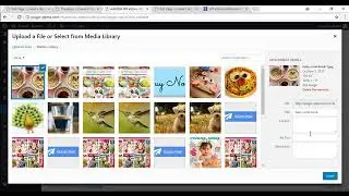 Creating a PayPal Buy Now Button Using WP eStore