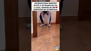 Así reacciona a su primer día en casa🥺💔