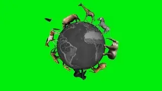animals circle the world globe - green screen 2