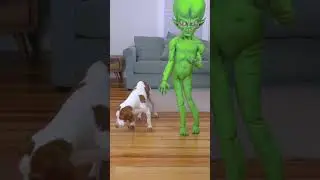 Interspecies Love❤️: Dog + Alien 🐶❤️👽 
