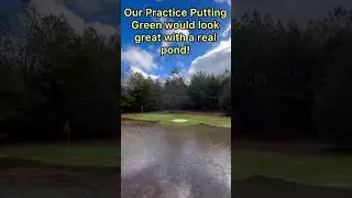 Flooding rains enhanced our Putting Green! #shorts #golf #puttinggreen