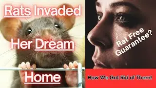 Rats coming from your neighbours? How do you know? What can you do?