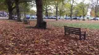 Autumn at Richmond Green