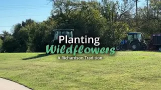Planting Wildflowers in Richardson