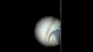 Foldscope Observations - Freshwater Worm