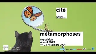 Exposition "Métamorphoses", jusqu'au 24 novembre 2024