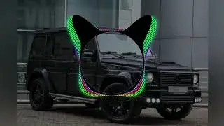 lndila Ainsi Bass la vida