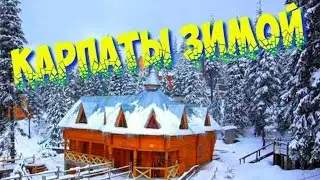 Carpathian mountains in winter