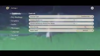Genshin Impact on Realme 6 at max settings (minor lag/playable frame rates)
