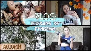 VLOG: 01.10.2022/Что я делаю на выходных?