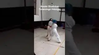 Dojo Shudokan Internacional Tulancingo Hidalgo