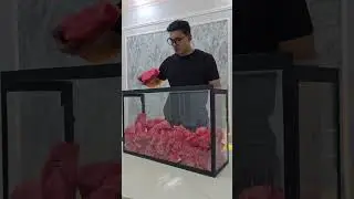 100Л аквариум арбуз мукбанг 🍉