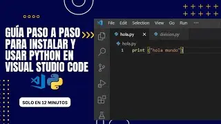 Python Windows Programmers:A Step-by-Step Guide to Installing and Using Python in Visual Studio Code