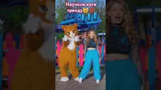 Научила кота тренду😺💯