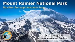 Mount Rainier National Park | Burroughs Mountain Trail Loop | Epic views of Mount Rainier