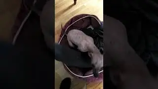 Малыш кайфую в новом доме