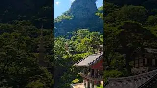 어디일까요? 선덕여왕, 워낭소리, 황진이 각종 드라마와 cf 촬영지인 #청량사 멋진 뷰