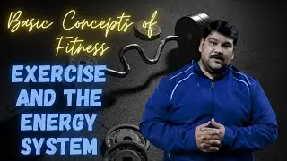 EXERCISE AND THE ENERGY SYSTEM