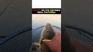 Насадка которую не сбивает мелочь! #рыбалка