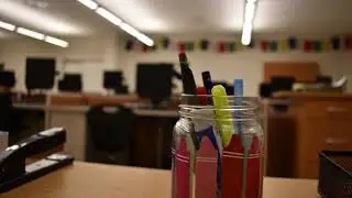 Taking a Shallow Depth of Field Photo (Nikon D3500)