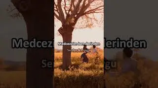 Aydilge - Sade Şarkı (lyrics)#lyrics #music