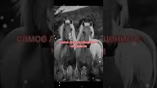 💯💯💯❤️❤️🤗🤗🤗🥰🥰💔💔😞😍😍прощатьнетилида💔💔💔💔😞😞😞😍😍💯💯