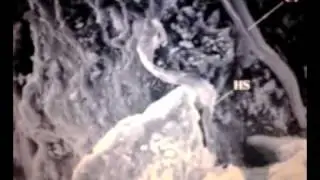 LIFE FOUND IN METEORITE. ABSOLUTE PROOF IN FOSSILISED BACTEREA