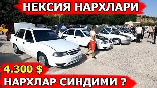 8-СЕНТАБР НЕКСИЯ НАРХЛАРИ 2024 NEKSIYALAR NARXI САМАРКАНД МОШИНА БОЗОРИ 08.09.2024
