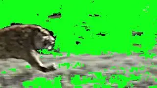 Smilodon Stampede Green Screen for 