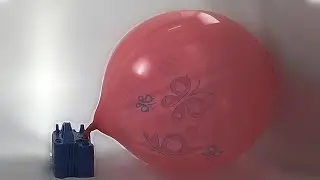Pink punch balloon blow to POP (balloon BTP) #81