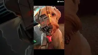 If my dog was a transformer 😳 