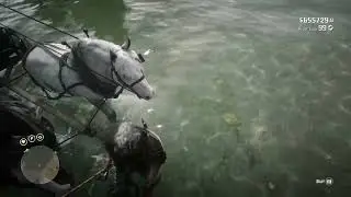 DickWagon Pushes Fisherman Across River in RDR2