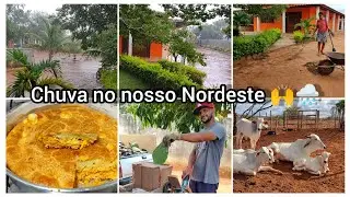 A chuva chegou no Nordeste 🙌🌧️fiz torta de frango// cortando Palma com segurança//Rotina na roça