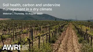 Soil health, carbon and undervine management in a dry climate