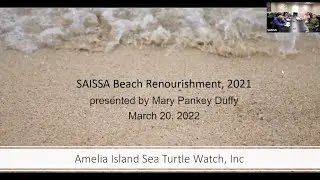 SAISSA Turtle Watch Presentation REPLAY