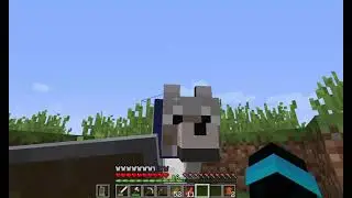 Jorge. O dog